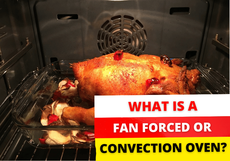 What is a fan forced or convection oven?