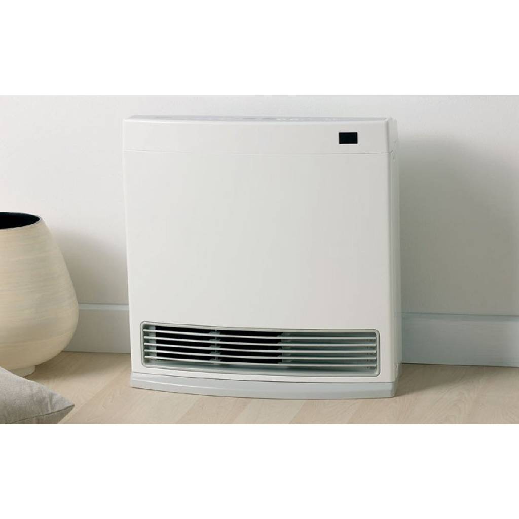 Rinnai DY15N Dynamo Natural Gas Heater The Appliance Guys