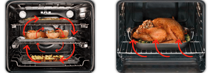 https://www.theapplianceguys.com.au/cdn/shop/files/What_is_a_fan_forced_or_convection_oven_1.png?v=17540561018737912560